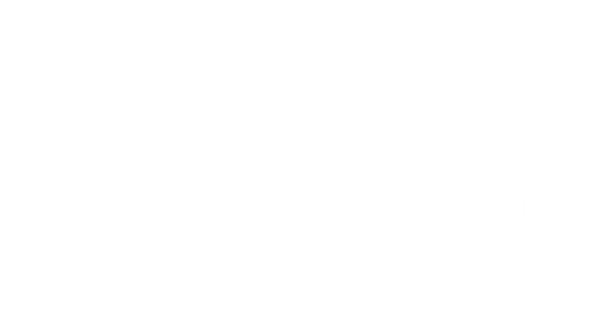 Evo Experience