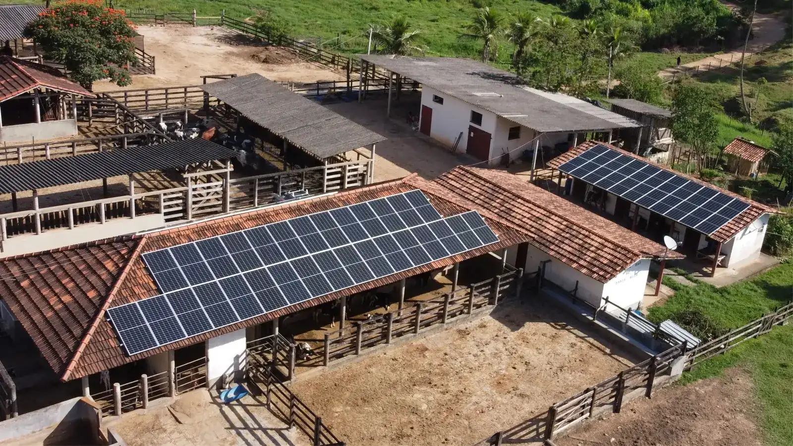 Projeto Rural