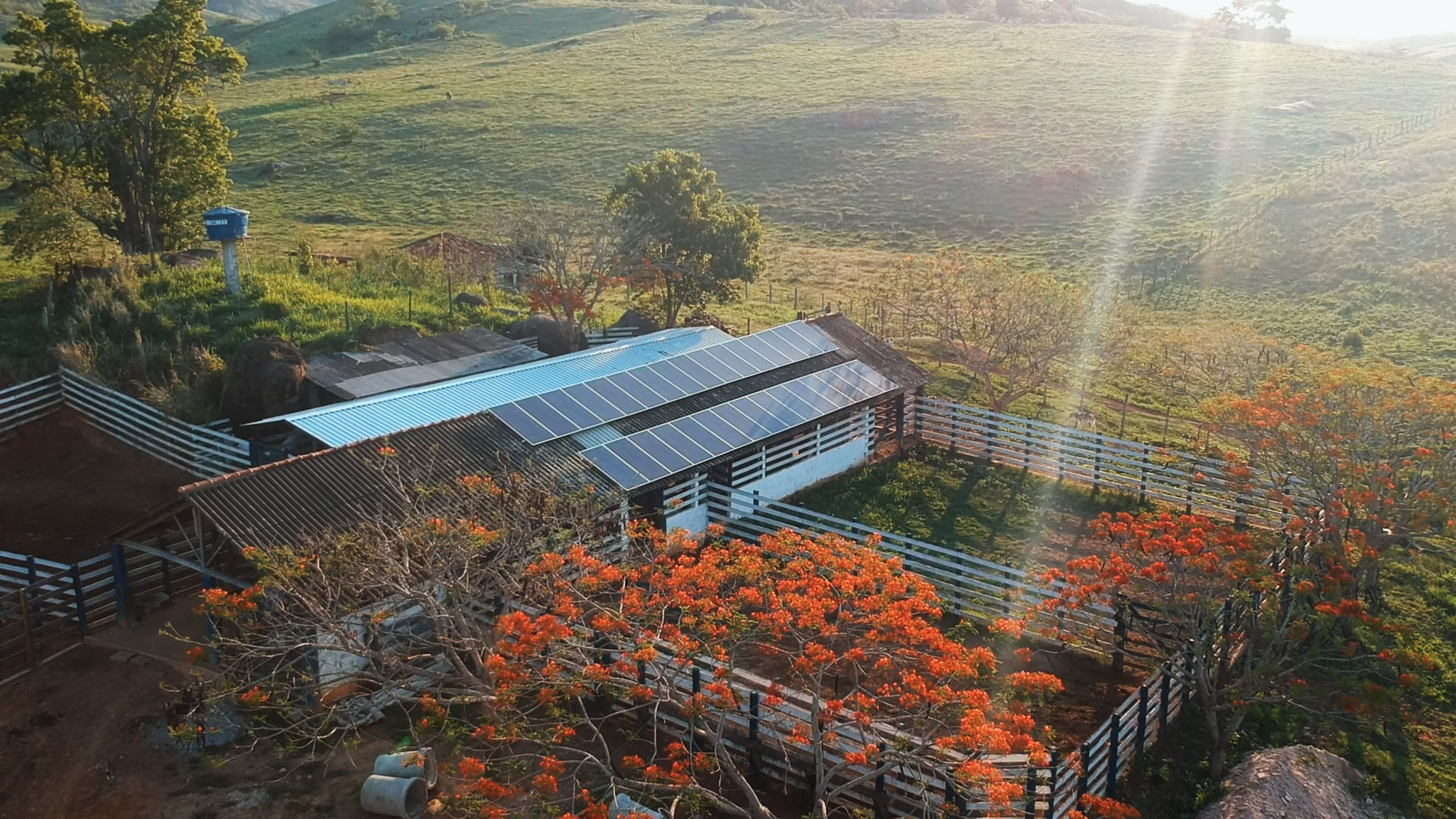Energia Solar no seu Agronegócio